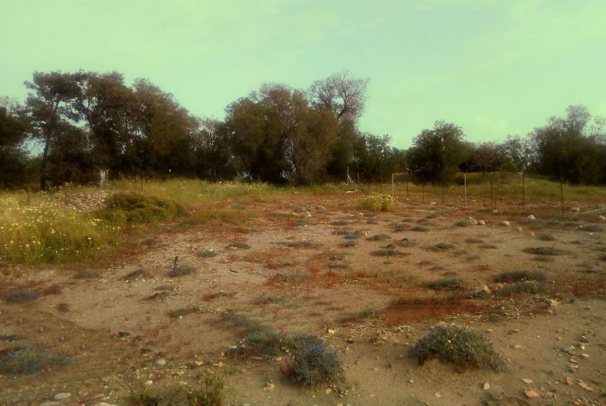 plot_for_sale_haraki_beach