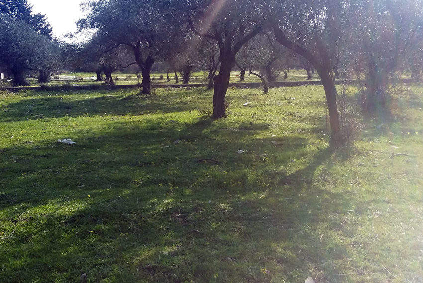 Kolympia village plot for sale