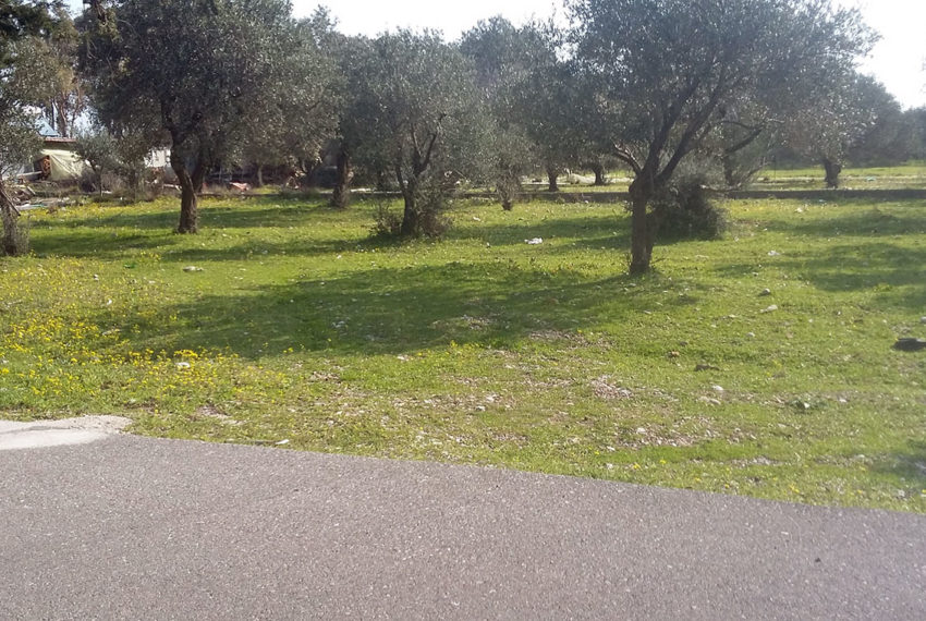Kolympia village Rhodes island