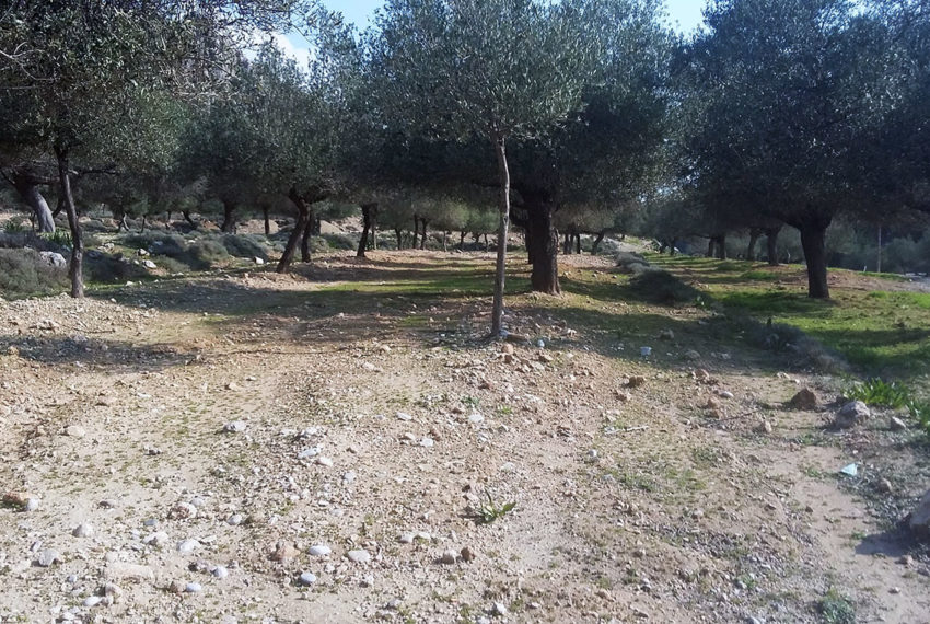 Tsampika village Rodos land for sale