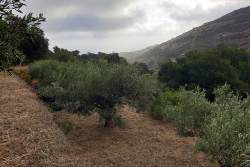 land for sale in Greek island