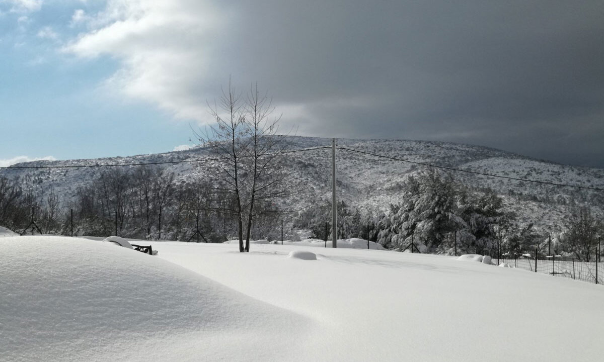 Home for a family that wants snow in the winter