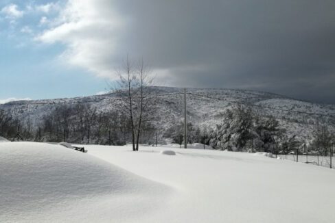 Home for a family that wants snow in the winter