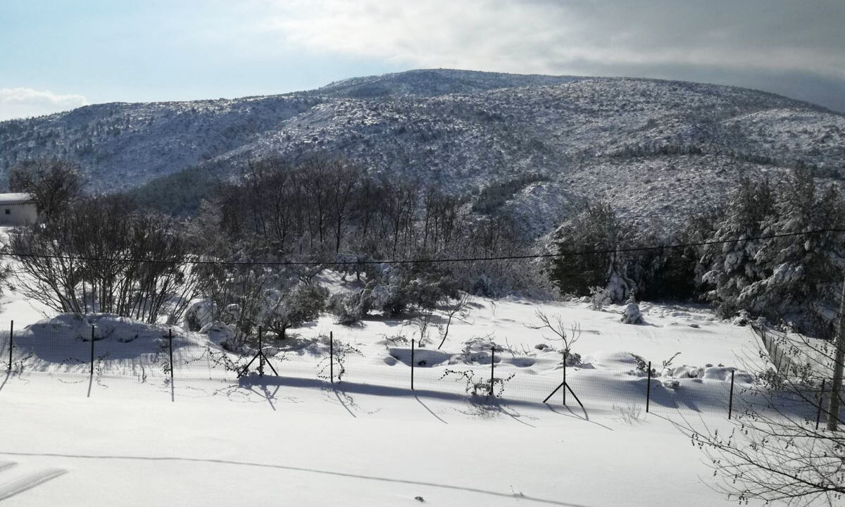 Buy House next to the snow to ski