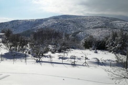 Buy House next to the snow to ski