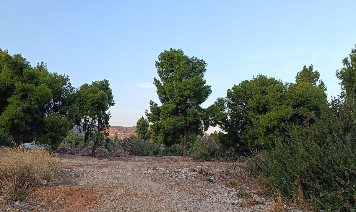 Plot-for-sale-on-the-beach-Greece