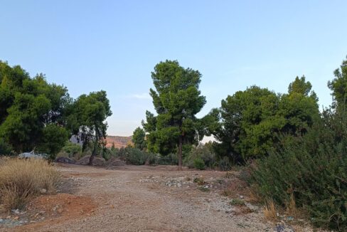 Plot-for-sale-on-the-beach-Greece